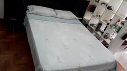 Lorong L Telok Kurau (D15), Semi-Detached #605905421